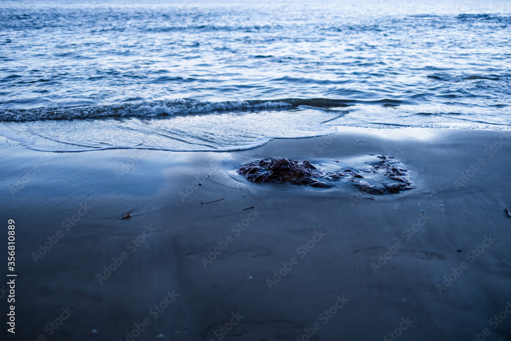 beautiful pristine Tasmanina beach on a winter morning with rocks in the foreground
