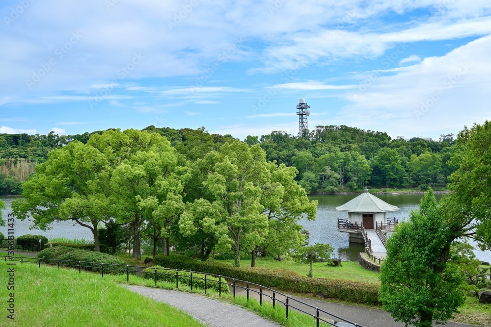 新緑に包まれた池のある公園の情景