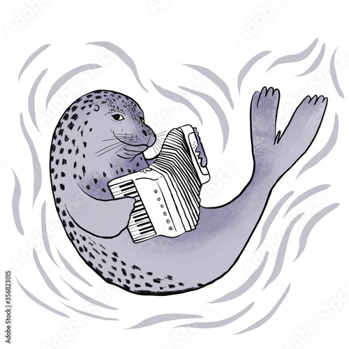 foca tocando acordeón