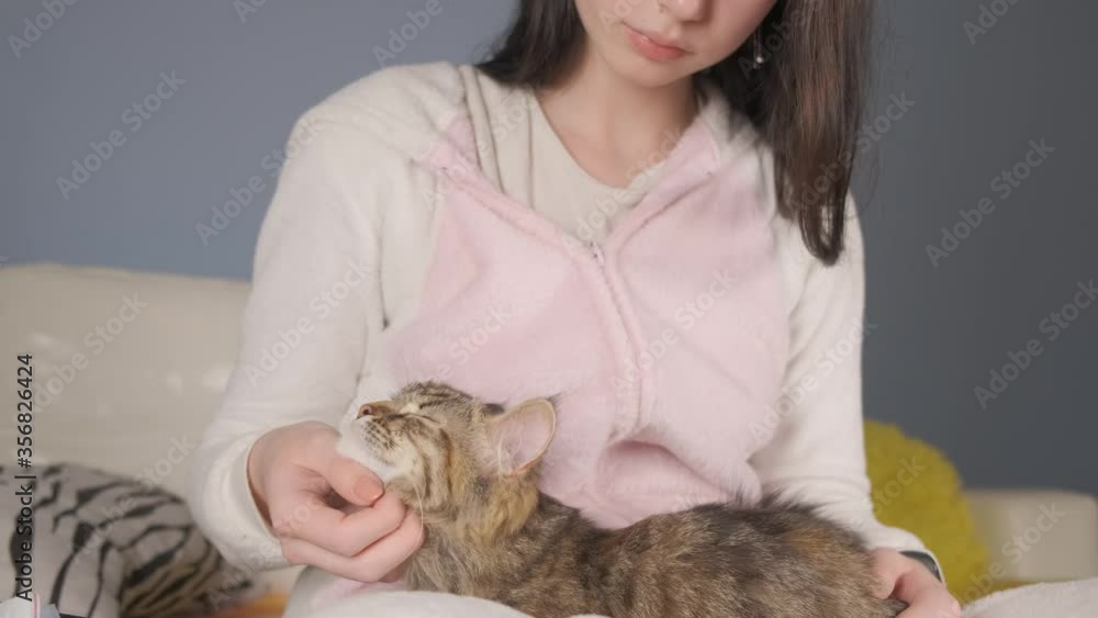 A young pretty girl strokes a cat sitting at home on the sofa. A young pretty girl strokes a cat sitting at home on the sofa.
