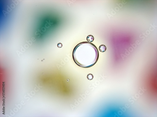 Beautiful bubbles oil with colorful white blue background ,dropslets macro image ,abstract background, sweet pastel color for card design © Suganya