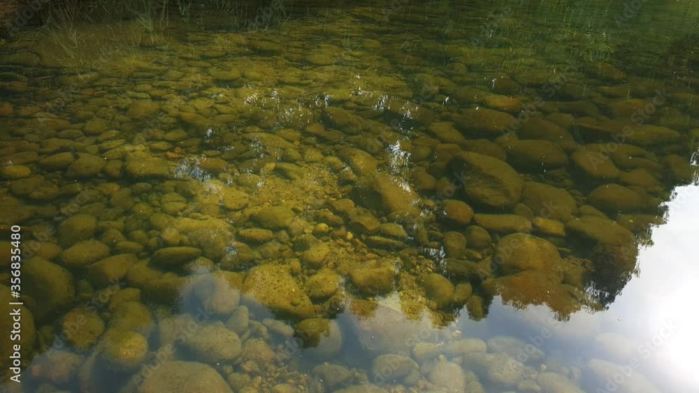 A crystal clear pool of still river water reflecting the trees A crystal clear pool of still river water reflecting the trees