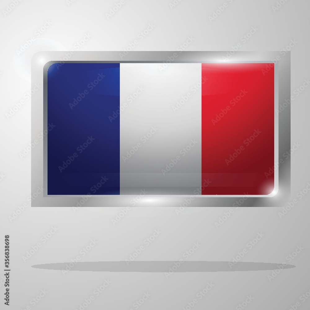 france flag button