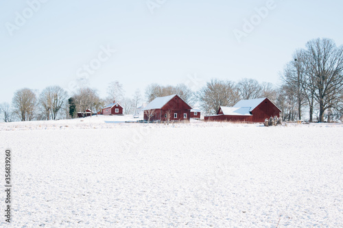 Typical red farmhouses in the Swedish winter, winter scene, sunny and blue sky