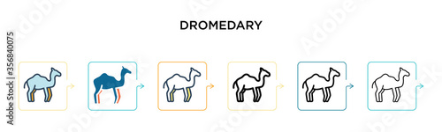 Dromedary vector icon in 6 different modern styles. Black, two colored dromedary icons designed in filled, outline, line and stroke style. Vector illustration can be used for web, mobile, ui