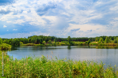 View of a beautiful lake in a pine forest at summer
