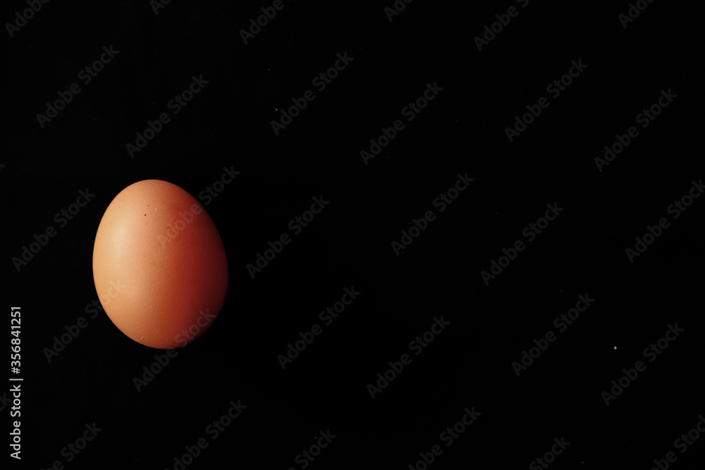 Fototapeta premium Egg in the black bacground