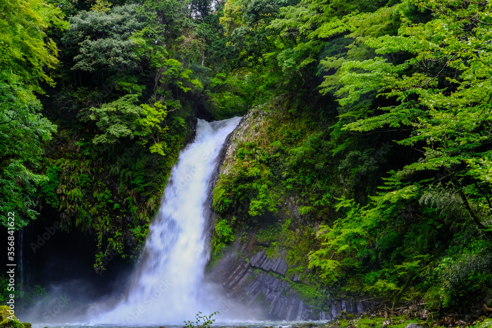 静岡県伊豆の浄蓮の滝 静岡県伊豆の浄蓮の滝