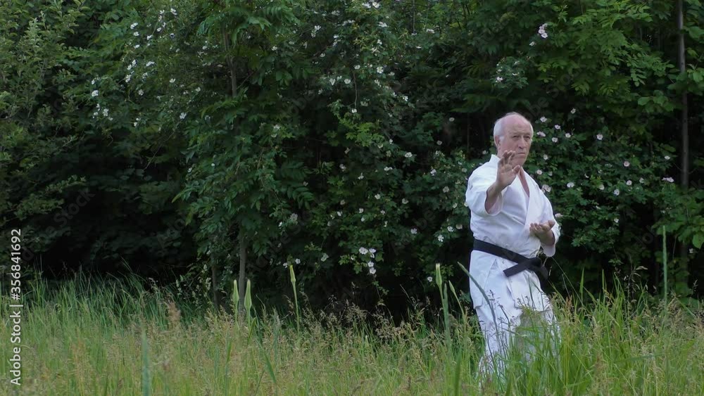 With a black belt, an old athlete does formal karate exercises on a background of nature With a black belt, an old athlete does formal karate exercises on a background of nature
