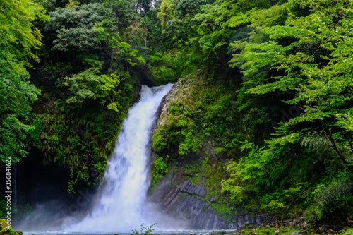 静岡県伊豆の浄蓮の滝