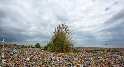 Looking out to sea at Sizewell Suffolk photo