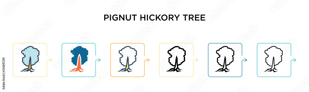 Pignut hickory tree vector icon in 6 different modern styles. Black ...