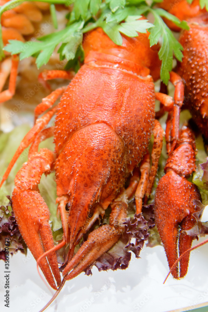 red boiled crab on the holiday tabl red boiled crab on the holiday tabl