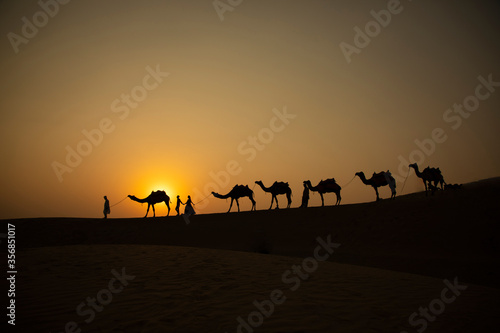 Camel caravan going through the desert people follow them
