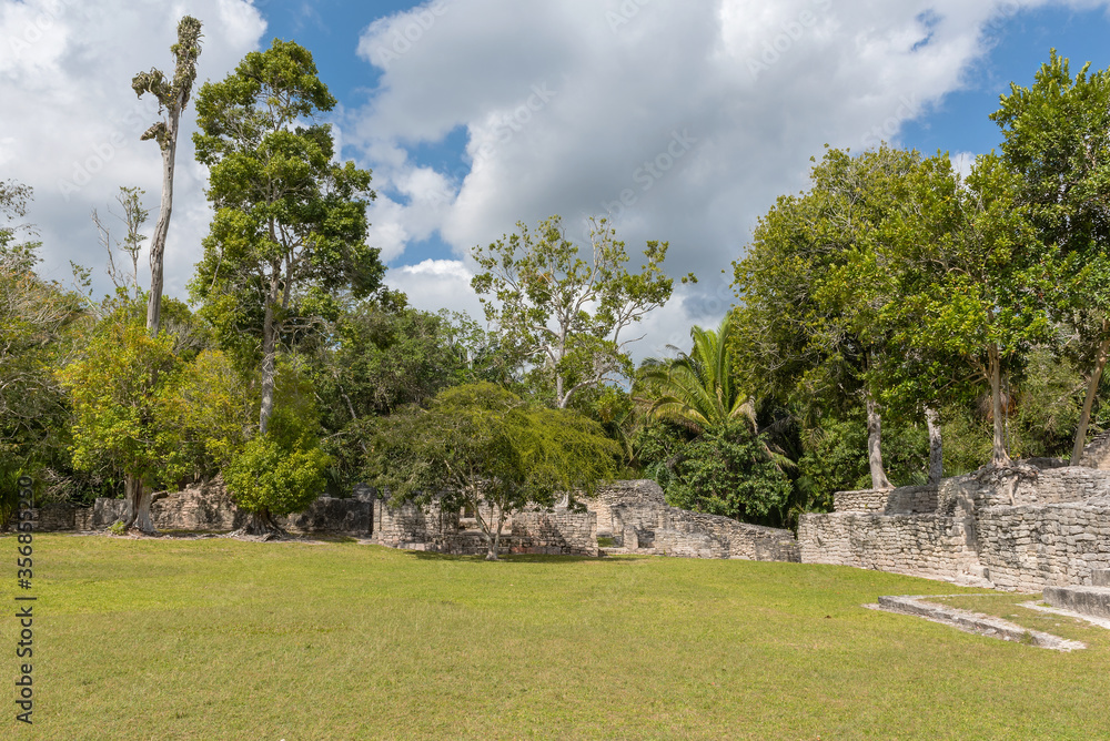Fototapeta Ruiny starożytnego miasta Majów Kohunlich, Quintana Roo, Meksyk