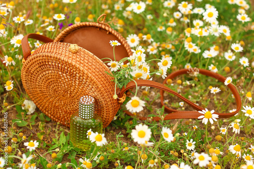 Many beautiful chamomiles and wicker bag in field