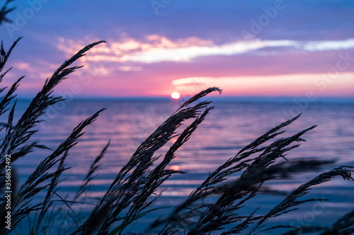 The sun is setting on Baikal lake. View of the Posolsky bay on the eastern shore. Soft focus with focus point on bulrush. © Kristina Maikova