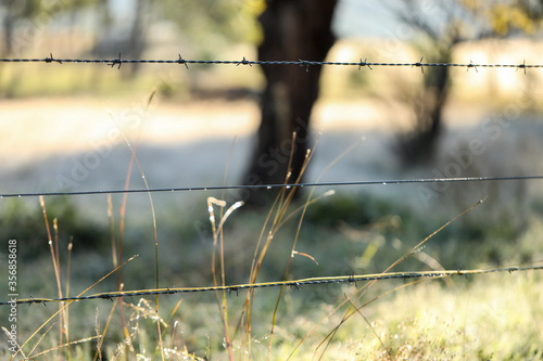 Barbed wire fence with bokeh background