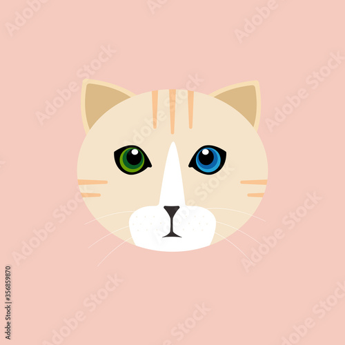 The face of a cream-colored cat has orange and blue eyes.