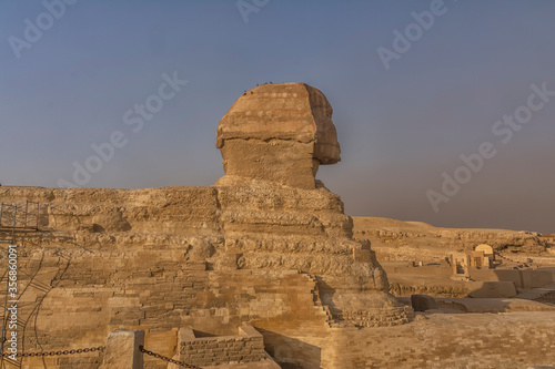 The Sphinx in front of the Pyramids  close view