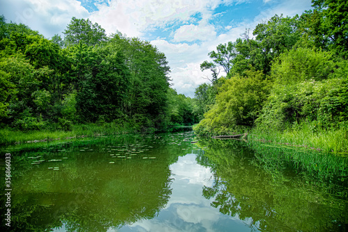  river, nature