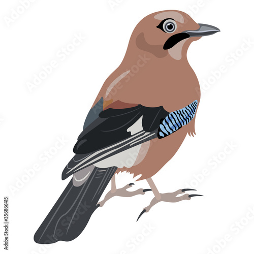 Eurasian jay bird (Garrulus glandarius). Flat cartoon style. Isolated vector illustration.