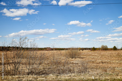 Spring landscape with white clouds on blue sky over yellow field with grass and forest in background