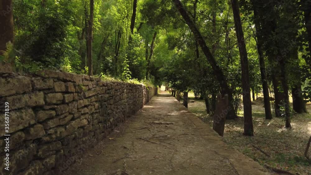 Amazing and relaxing path in the forest. hiking trail Surrounded by trees Amazing and relaxing path in the forest. hiking trail Surrounded by trees