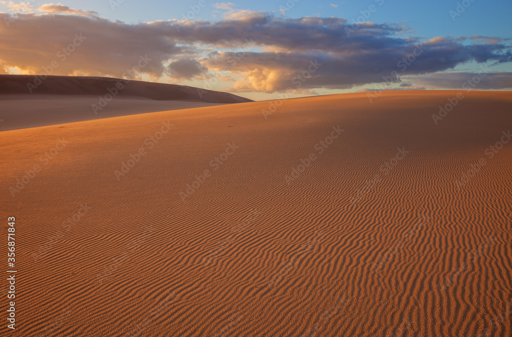 Beautiful light over the sand dunes of Myall Lakes National Park.East Coast of N.S.W. Australia