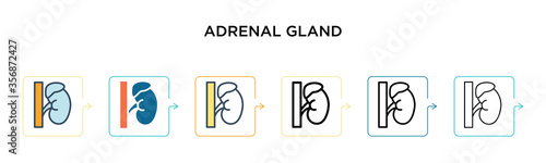 Adrenal gland vector icon in 6 different modern styles. Black, two colored adrenal gland icons designed in filled, outline, line and stroke style. Vector illustration can be used for web, mobile, ui