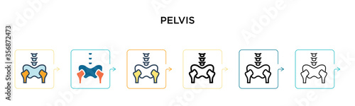 Pelvis vector icon in 6 different modern styles. Black, two colored pelvis icons designed in filled, outline, line and stroke style. Vector illustration can be used for web, mobile, ui