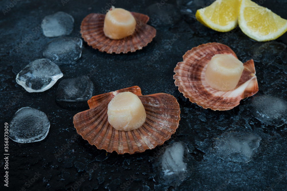 Close up fresh raw scallops with ice on a concrete background Close up fresh raw scallops with ice on a concrete background