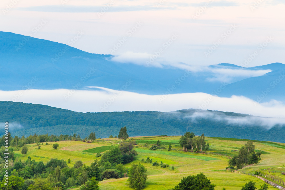 landscape in the mountains in the fog. beautiful landscape  . great weather in summer. On the tops of the mountains meadows. Green trees grass.