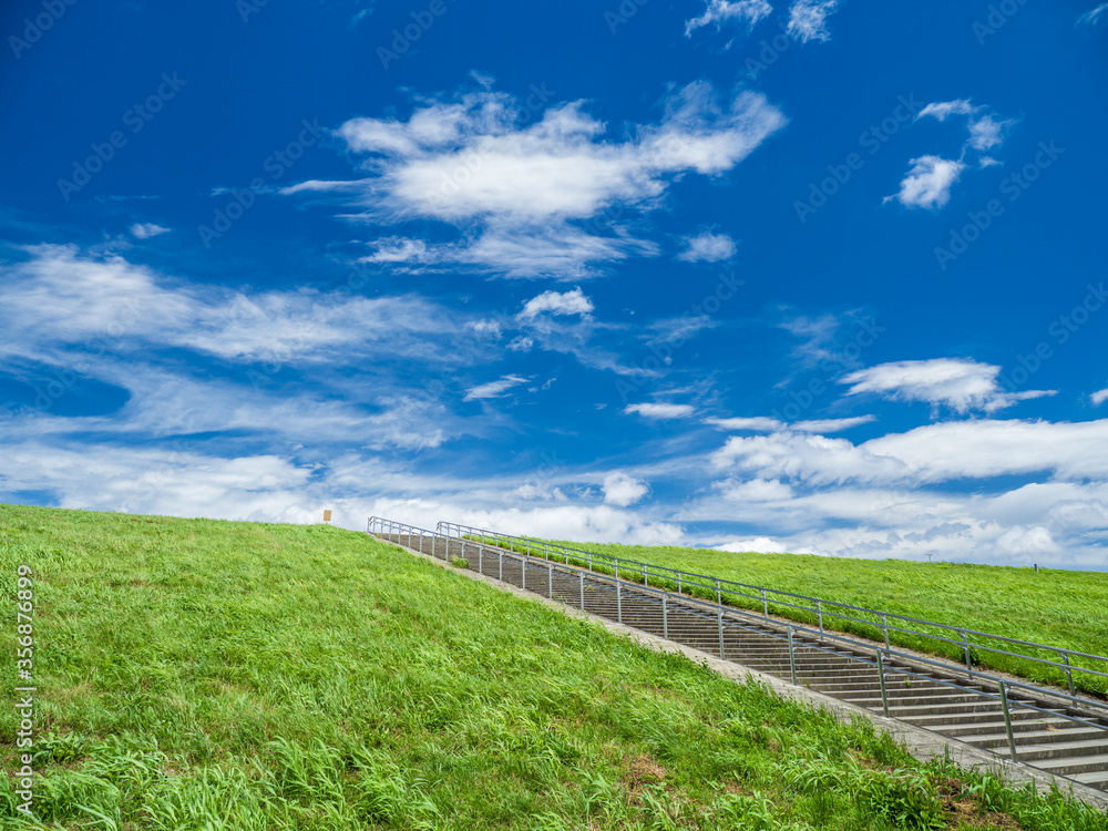 夏の青空と青々とした草におおわれた丘とまっすぐに伸びる階段　6月