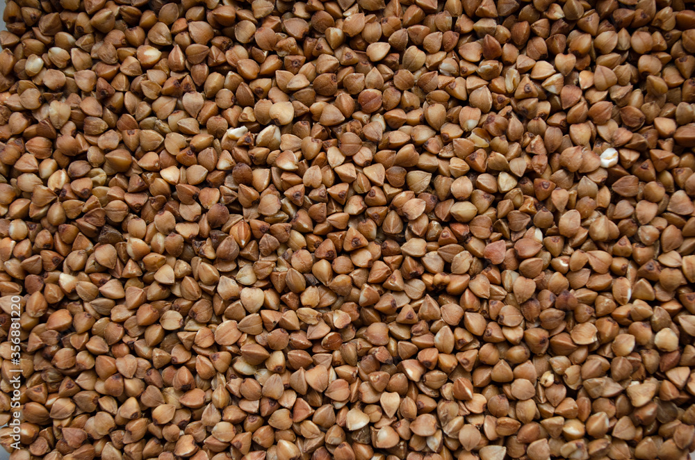 buckwheat groats closeup. buckwheat background buckwheat groats closeup. buckwheat background