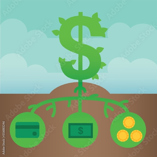 dollar plant