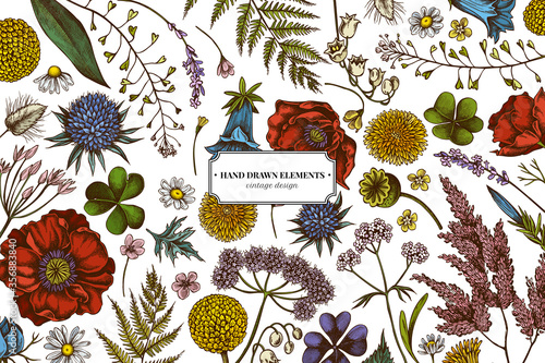 Floral design with colored shepherd's purse, heather, fern, wild garlic, clover, globethistle, gentiana, astilbe, craspedia, lagurus, black caraway, chamomile, dandelion, poppy flower, lily of the