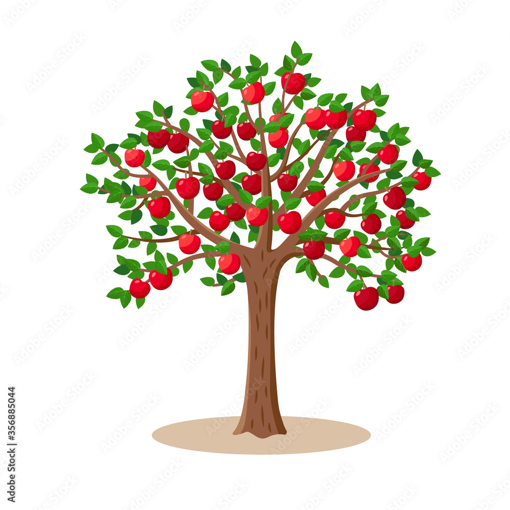 Apple tree with red apples fruits on branches - vector illustration isolated on white background.