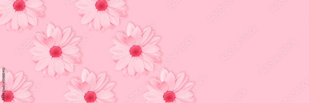 Monochrome pink flower floral long banner or poster. Monochrome pink flower floral long banner or poster.