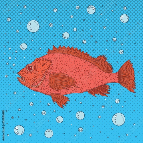 fish