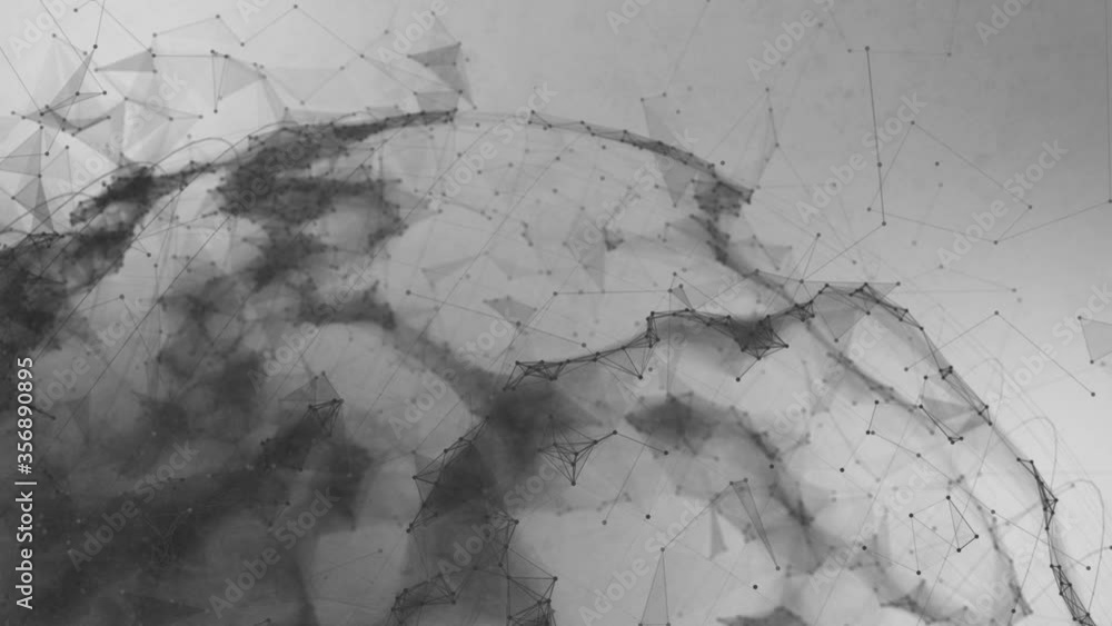 Earth - Black and White Plexus
