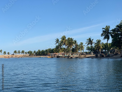 tropical beach with palm trees © SVN