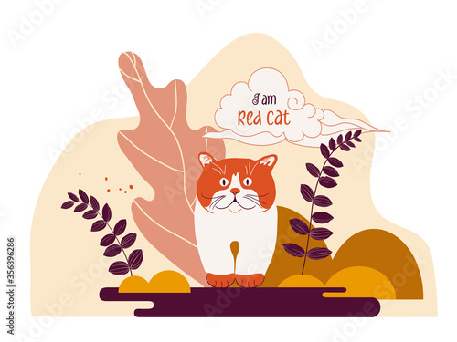 Gorgeous big red cat of the British breed, abstract minimal flora design.