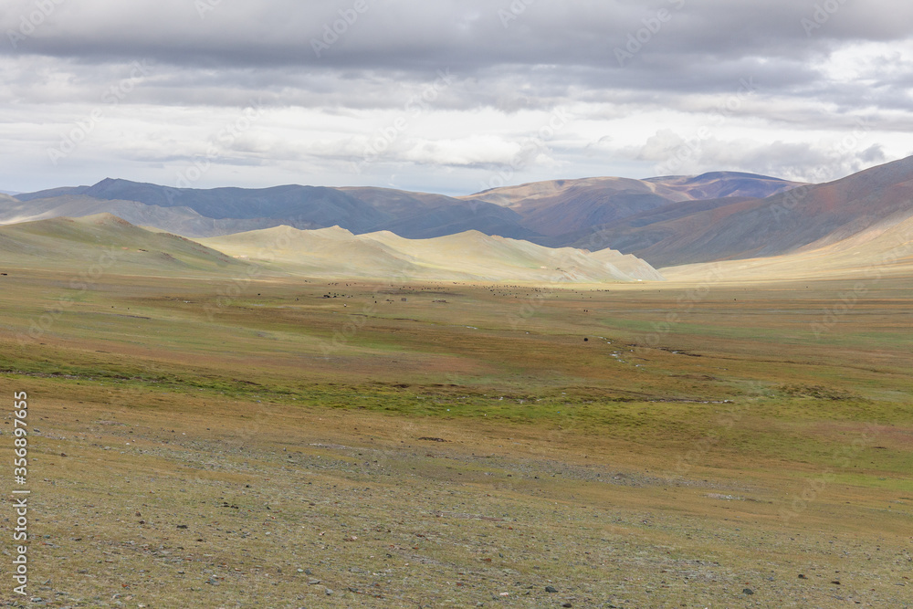 Typical landscapes of Mongolia. mountain slopes and valleys. Altai, Mongolia