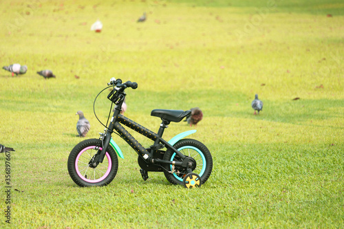 Children's bicycles are on the lawn.