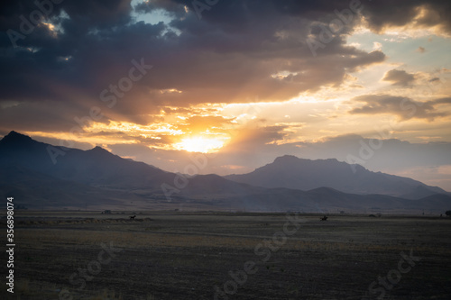 Sunset with the mountains of the zagros in the background and some horses running in the distance
 photo