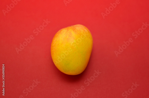 A yellow indian Alphanso mango on red background