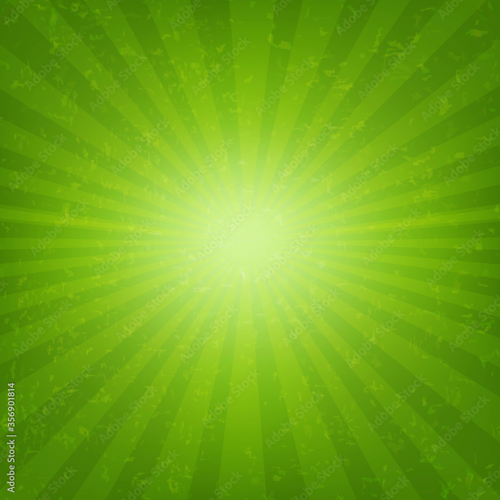 Fototapeta premium Green Burst Banner With Rays With Gradient Mesh, Vector Illustration