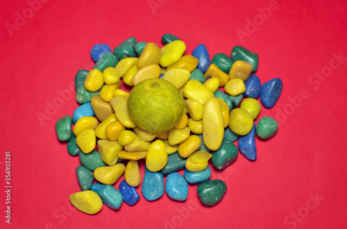 Yellow Lemon on multicolor pebbles photo