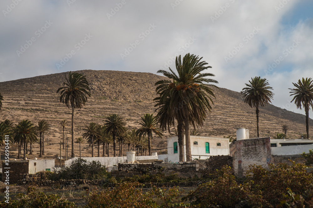Fototapeta premium Pictures of the two main town (one the capital) in Lanzarote, Canary Island: Haria and Teguise, both with old white architecture and simple life. Typical are the white houses with green windows 
